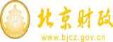 二级片大胖逼北京市财政局