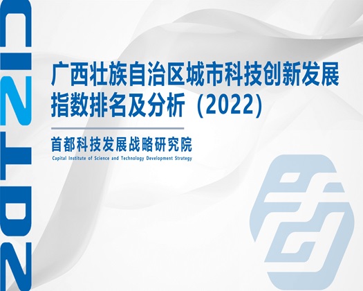 操逼啊啊视频【成果发布】广西壮族自治区城市科技创新发展指数排名及分析（2022）